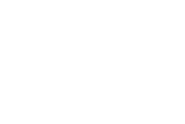 Holco Metrology Solutions Logo